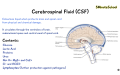 Thumbnail for version as of 08:52, 3 October 2023