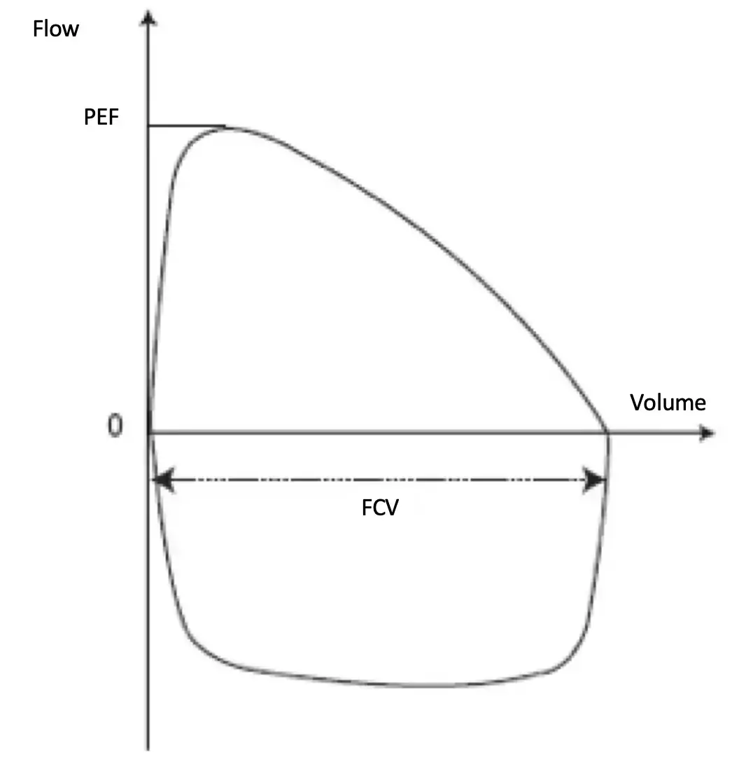 Flow-volume curve. Exhalation is represented by the upper curve, inspiration by the lower curve. FVC = forced vital capacity, PEF = peak expiratory flow.